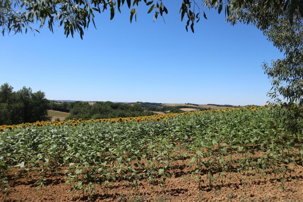 Le Clos Mirelie Gaujac  Екстериор снимка
